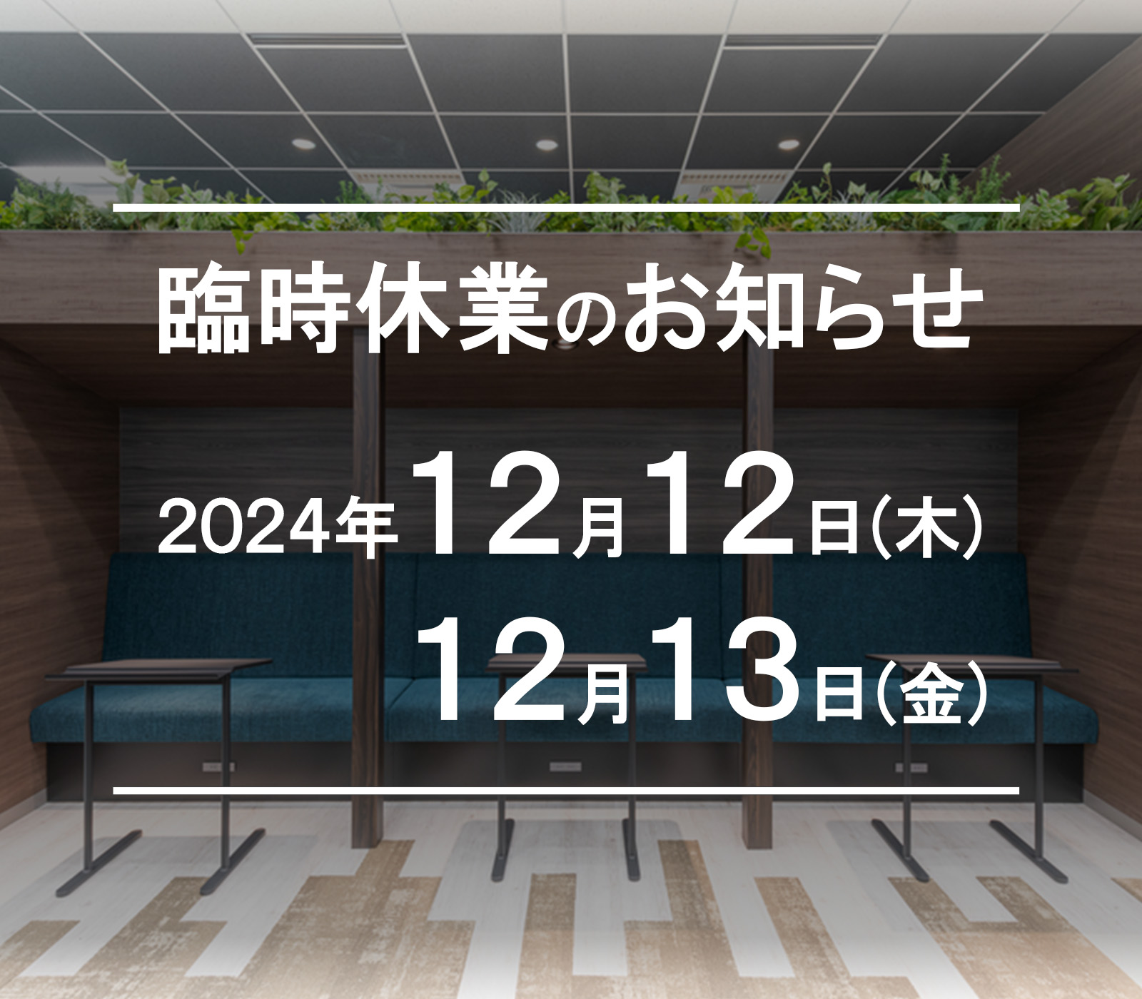 社内研修にともなう臨時休業のお知らせ【2024年12月12日(木)・13日(金)】